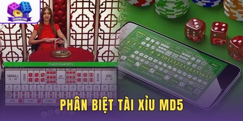 Phân Biệt Tài Xỉu MD5