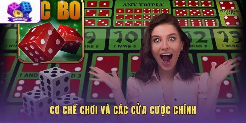 co-che-choi-va-cac-cua-cuoc-chinh co-che-choi-va-cac-cua-cuoc-chinh