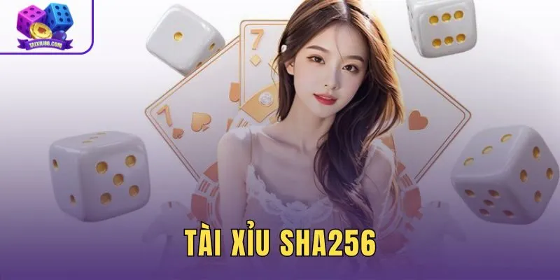 Tài Xỉu SHA256 Là Gì? Cách Hoạt Động Và Kiểm Tra Mã Hash